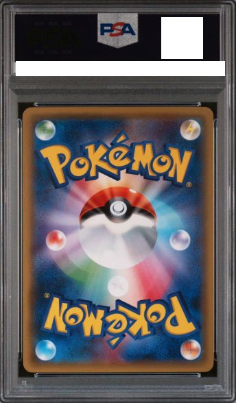 PSA 10 Poncho Wearing Pikachu 203/XY-P Mega Campaign Promo Pokemon