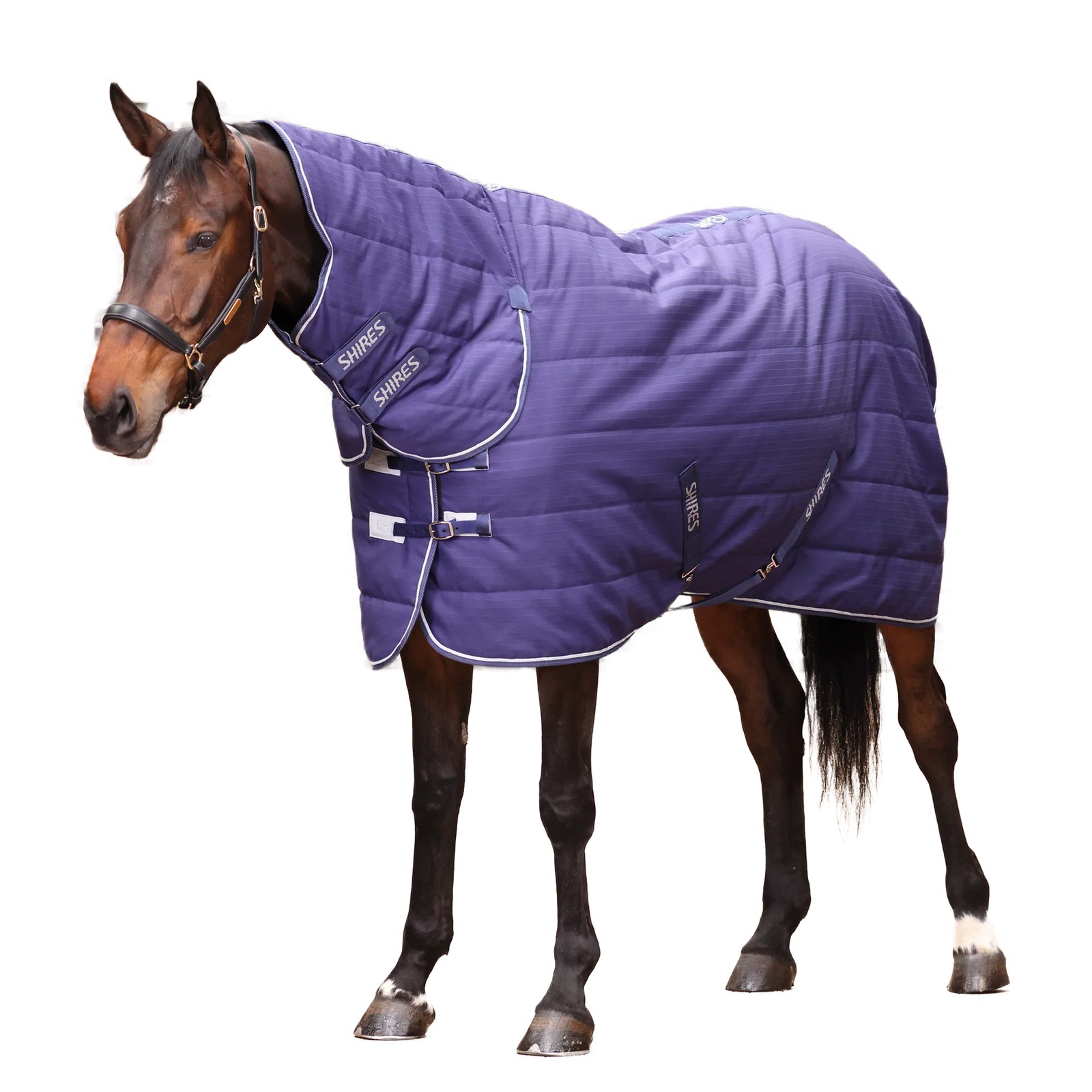 Shires Manta con Cubrecuellos Cuello Combinado Tempest Original 100 (ER2231)