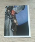 Bild 128 von 300