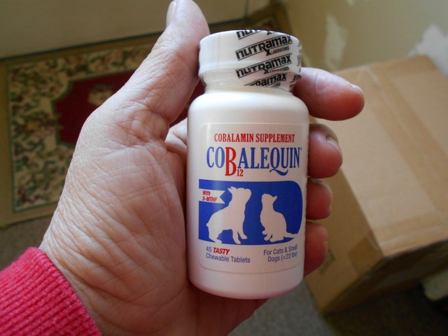 Cobalequin Cobalamin Supplement Vitamin B12 for Cats