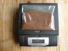 Organic Chaga mushroom Wild Harvested from live Birch trees Multiple sizes