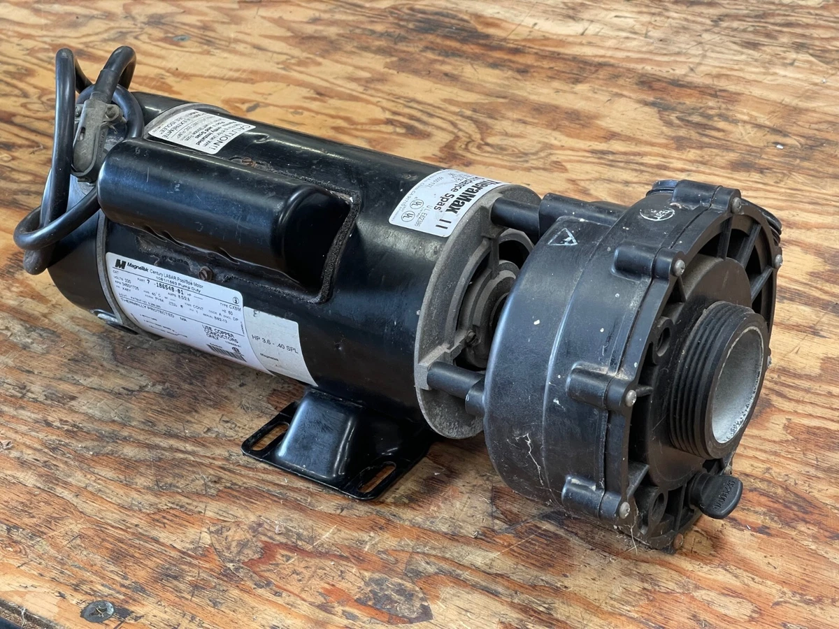 Sundance Spas Theramax II 230V Dual Speed Pump 06120195-1 | eBay