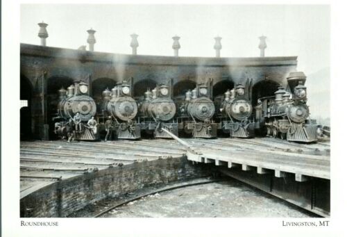 *Cartolina - (The Locomotive) Roundhouse""...(15 stalle) *Livingston MT {G39} - Foto 1 di 2