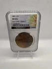 1881-S Morgan Silver Dollar San Francisco NGC MS65 star  $1 Eye Candy Toner!