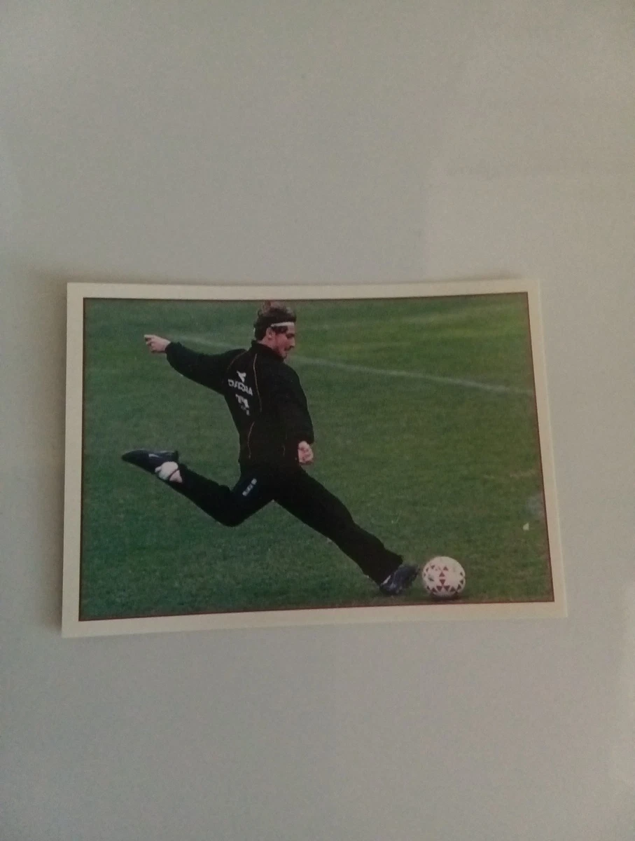 Album De Figurines Panini Calcio 2000-01 (Incomplet) - Avec Baggio, Totti, Cannavaro