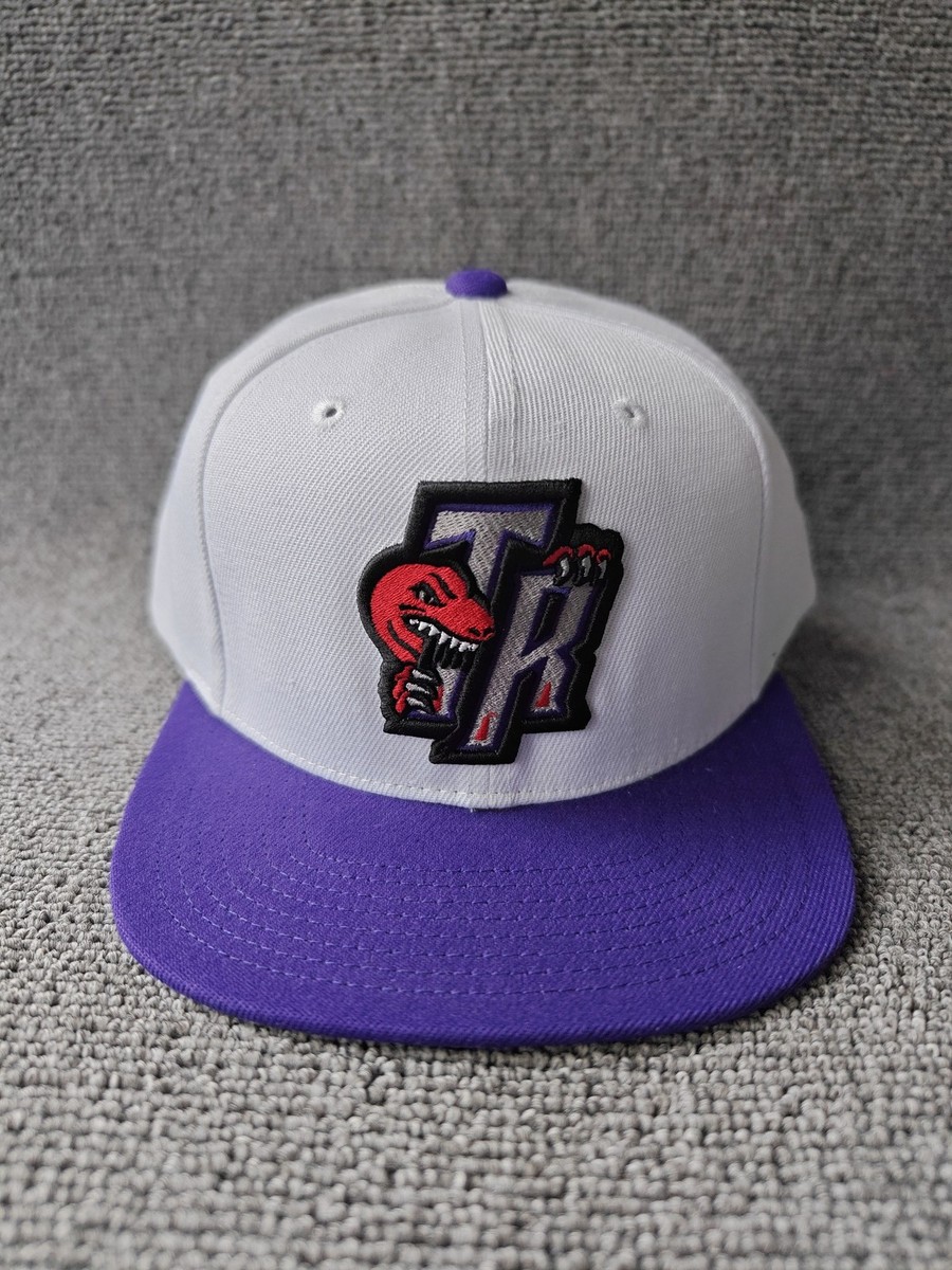 Mitchell & Ness Toronto Raptors TR Dinosaur Snapback Hat White Purple New