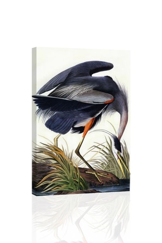 Great Blue Heron-Audubon - - CANVAS OR PRINT WALL ART - Picture 2 of 3