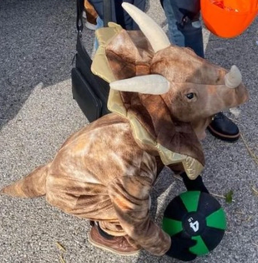 POTTERY BARN KIDS 棕色 TRICERATOPS DINOSAUR DINO 尺码 4-6 (4/5/6) 服装 — 第 2/4 张图片