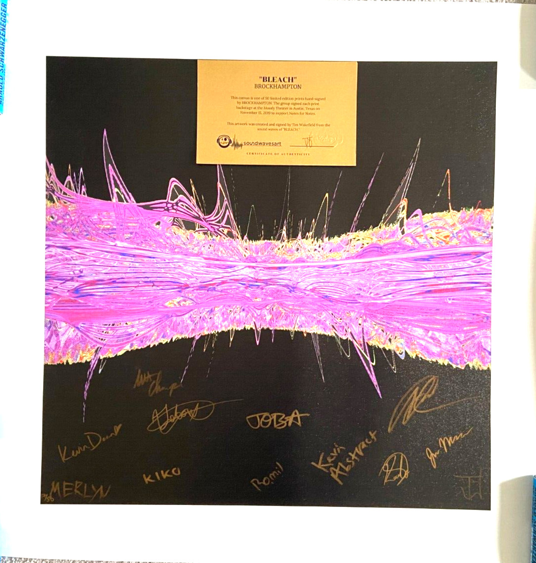 LIENZO IMPRESO ARTE 27x27 firmado por la banda de rockhampton/50 ondas sonoras abstractas kevin