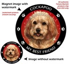 Assorted Cockapoo My Best Friend Dog Car Magnet