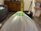 Picture 10 of 13