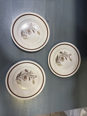 Set 3 Vintage MCM Royal China Autumn Mist Daisy /Wheat Wht & Brown Bread Plate
