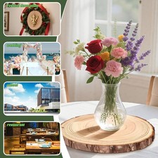 Holzscheiben 1-3 Stück, 25 cm Baumscheiben Unbehandelte, Baumstamm Scheiben Deko