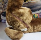 Bild 8 von 18