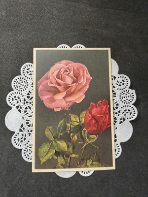   Vintage Switzerland #219 Stehli Rose Postcard 3.5'' x 5.5'', Zurich 1940's  