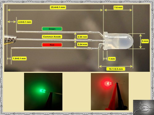 30 x 5 mm Bi-Color Dual grün rot LED Dioden Licht Mini Lampe C-Anode silber Kabel - Bild 1 von 10
