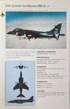 BAe Sea Harrier Plane Picture Original Vtg Aircraft Article Detail Sheet  