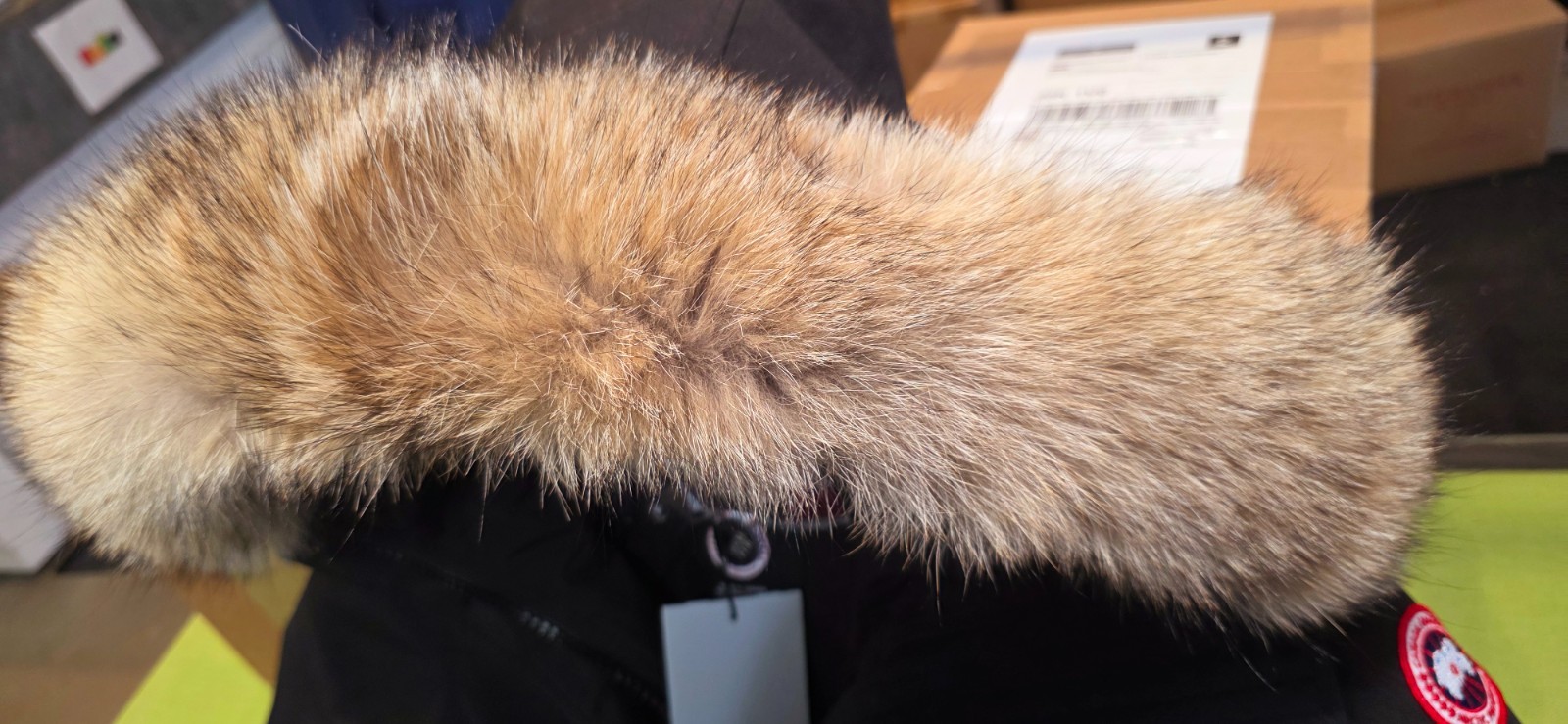 LATEST "BLACK" "GREY LABEL" CANADA GOOSE ROSSCLAIR SMALL S/P ARCTIC PARKA JACKET image 7