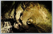 Thurston Lava Tube Hawaii Volcanoes National Park Vintage Postcard K7