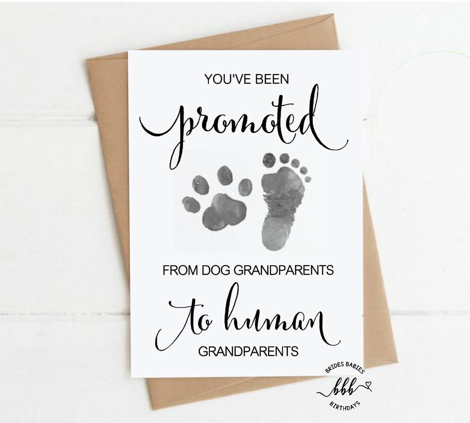 Pregnancy Announcement Card Promoted Dog Grandparents to Human