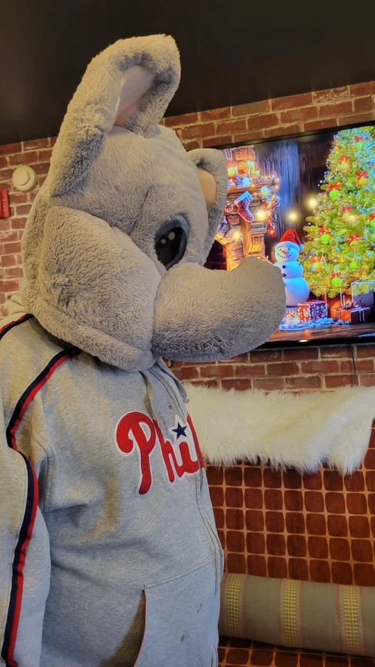 Dan Dee Plush Big Greeter Head ELEPHANT Costume Mascot Cosplay Furry Mask Trunk - Image 2 of 4