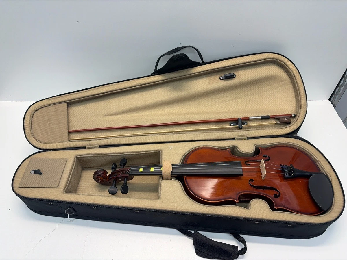 Beginner Violins Palatino 4/4 Size for sale | eBay