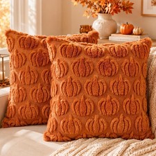 Fall Pillow Covers 18x18 Set of 2, Fall Decorations for Home