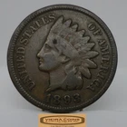 1893 Indian Head One Cent - #C50825NQ