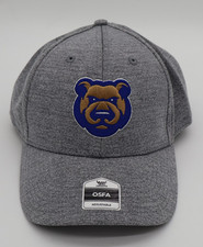 Iowa Cubs Hat Cap Men's Adjustable Gray Adult Snap Back Des Moines Iowa NWT