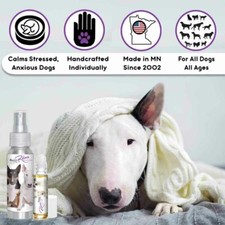Bull Terrier Relax Dog Aromatherapy  Calms Anxious, Wound Tight Bull Terriers