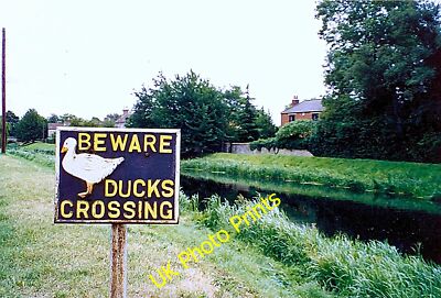 Foto 6x4 Entenüberquerung bei Deeping St James, bei Bourne, Lincolnshire Ma c2000