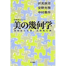 Geometry of Beauty Heavenly Schemes Human Ingenuity Hayakawa Bunko Used Book