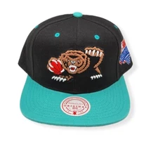 Mitchell & Ness Vancouver Grizzlies Lotto Pick Adjustable Snapback Hat Cap