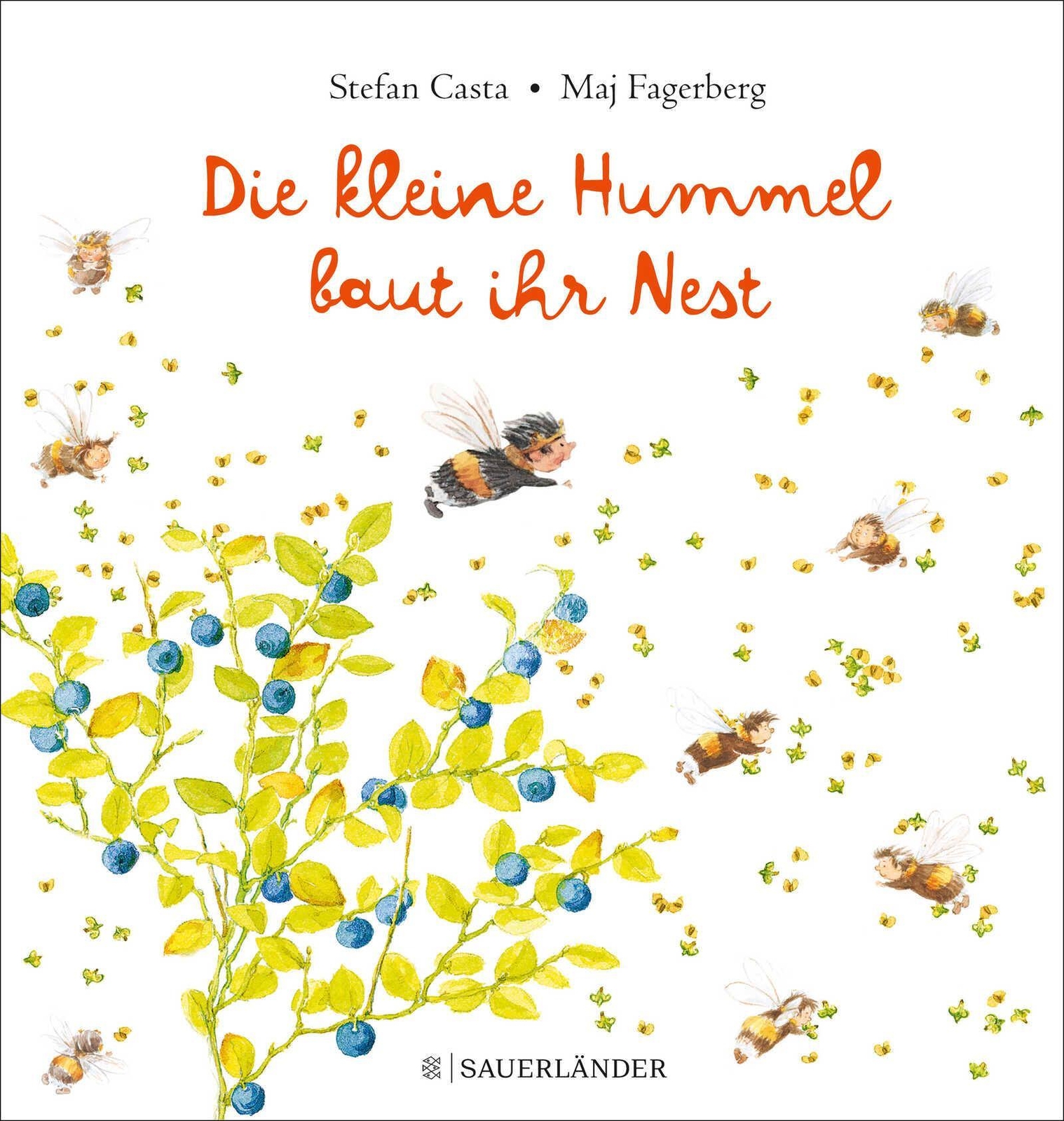 Die Kleine Hummel Baut Ihr Nest Stefan Casta