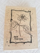 1996 Stampington Herb Speckled True-Love M4284 flower rubber stamp 4.5" X 3.5"