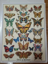 EMEK Dead & and Company 2019 Tour Poster Butterflies