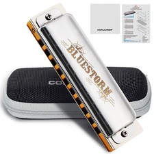 Silver Blues Harmonica 10 Hole Diatonic C Key Phosphor Bronze Reed Case