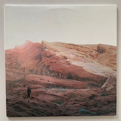 Tamaryn – The Waves - 2010 US Ltd Vinyl LP - Very Good (VG+/NM) - MEX057