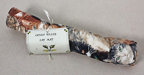 Catnip Filled Cat Mat