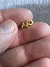 Tau Omicron Fraternity Sorority Gold Tone Chapter Guard Pin    (i2023i)