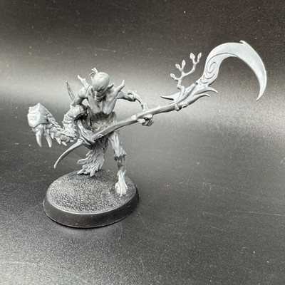 Warhammer AoS Silvaneth Branchwych Umbau