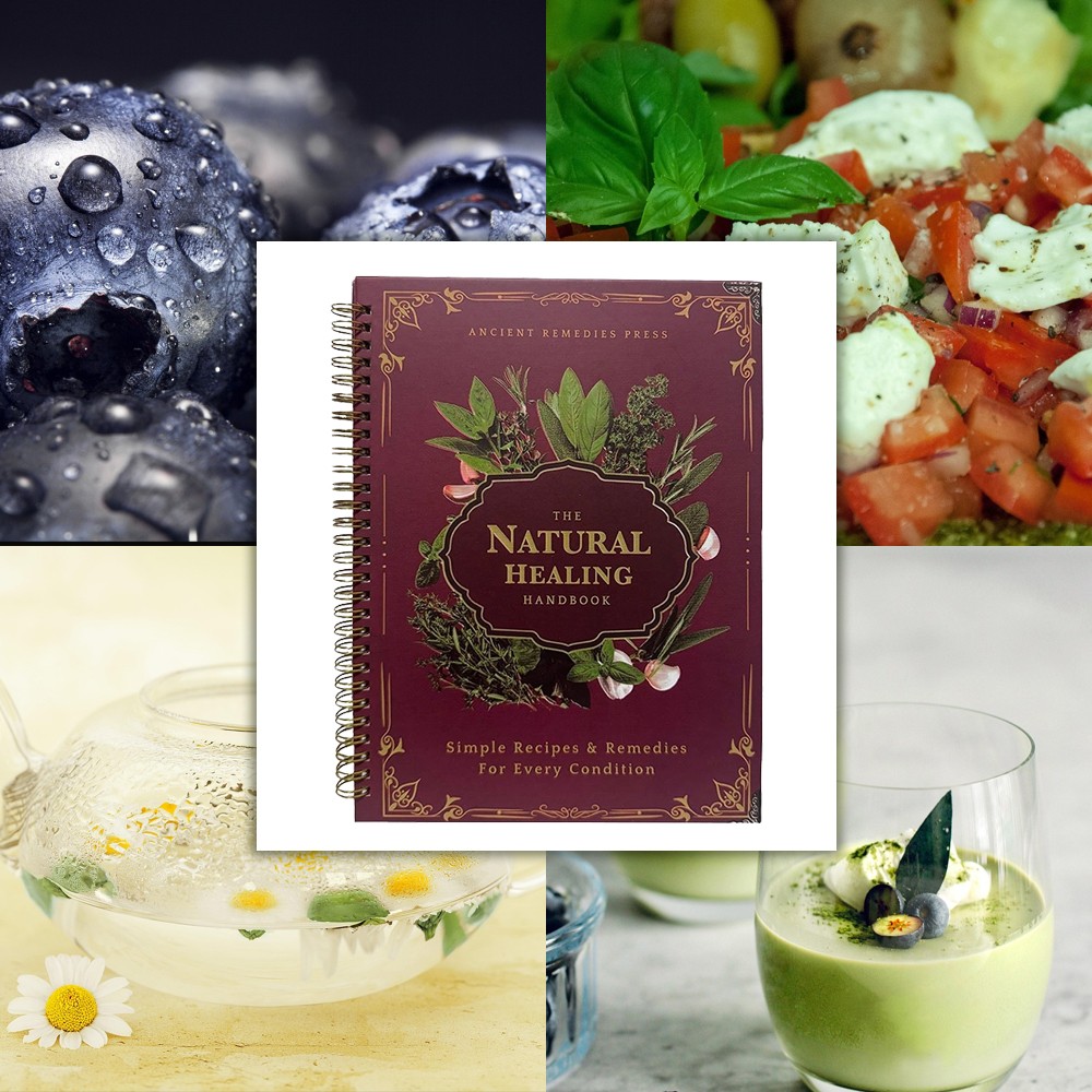 The Natural Healing Handbook Spiral Herbal Remedies Wellness Recipes Guide