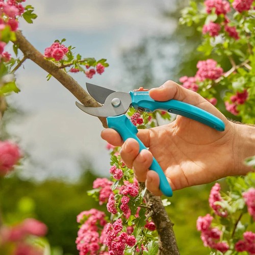 Gardena EASY Cut 20 mm Holz Bypass Gartenschere Power Coating - Bild 5 von 6