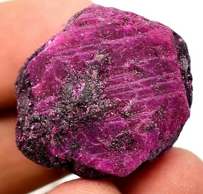 Natural Huge Mozambique Red Ruby 121.45Ct Certified Facet Rough
