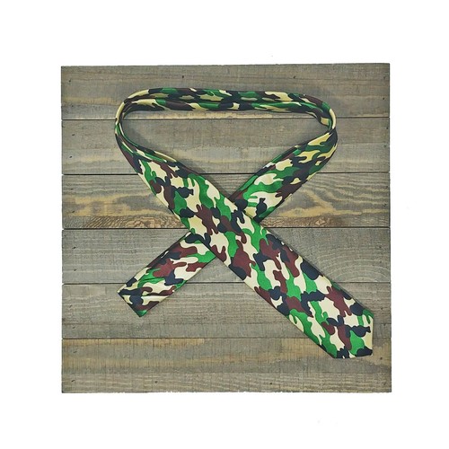 SLIM NECKTIE Selections Unisex Checkered Solid Money Gay Pride Stripe USA Seller - Picture 13 of 40