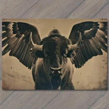 POSTCARD Buffalo Bison Majestic Winged Soaring in the Sky Buffalo Wings Funny