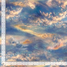 Nautical Fabric  Water's Edge Beach Sky Sunset Cloud  Timeless Treasures YARD