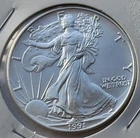 1991 Walking Liberty 1oz Silver Dollar
