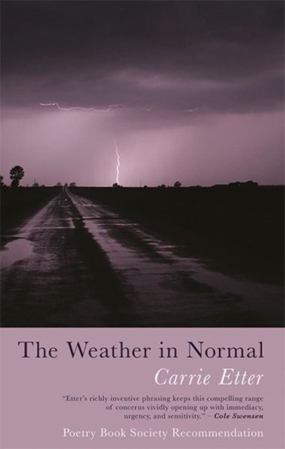 The Weather in Normal by Carrie Etter PAPERBACK 9781781724590