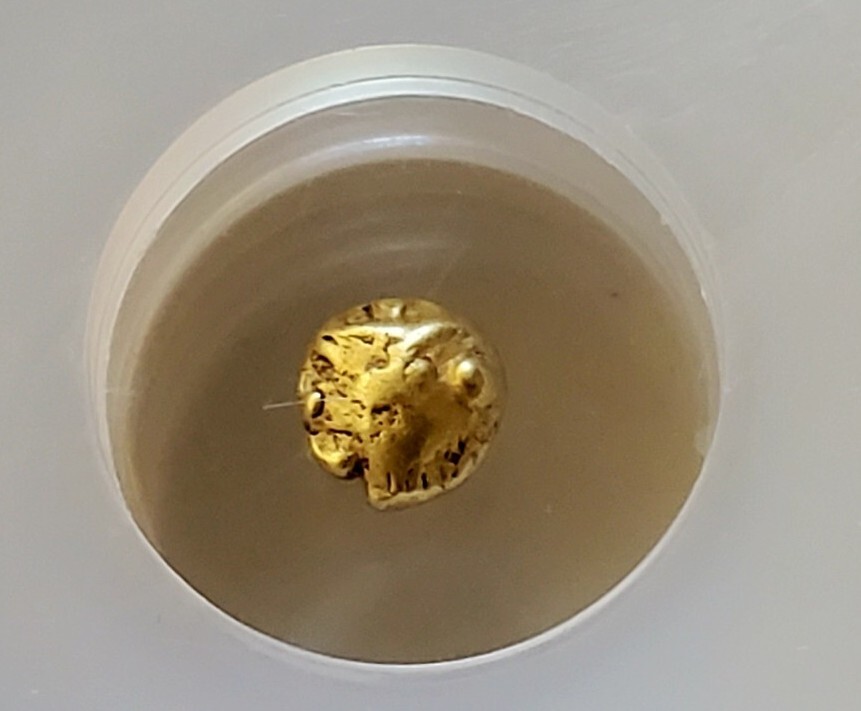 Mysia, Cyzicus Head Of Tunny 1/48th Stater NGC CH FINE Ancient Gold Coin Rare!